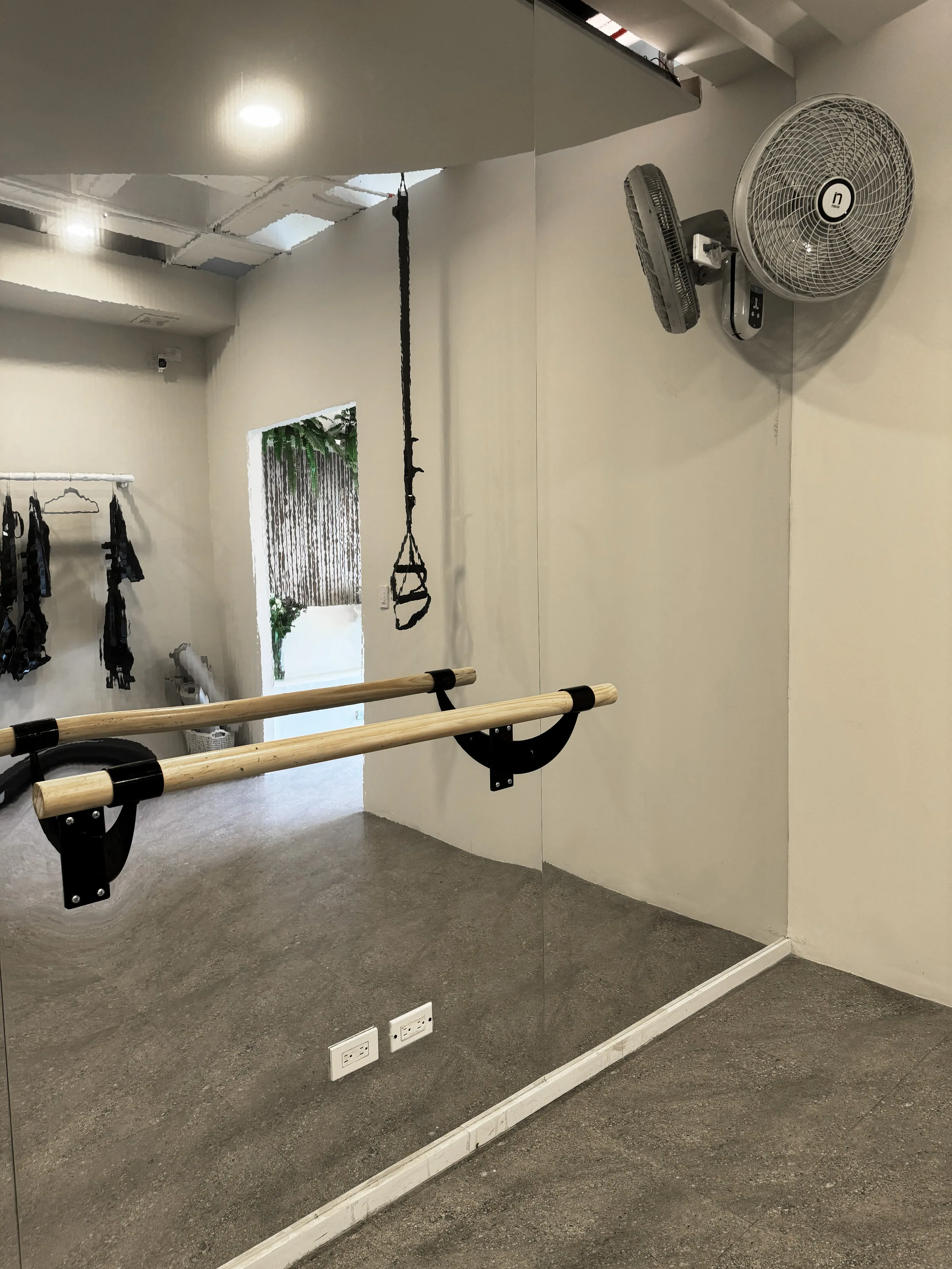 Sección Gimnasio