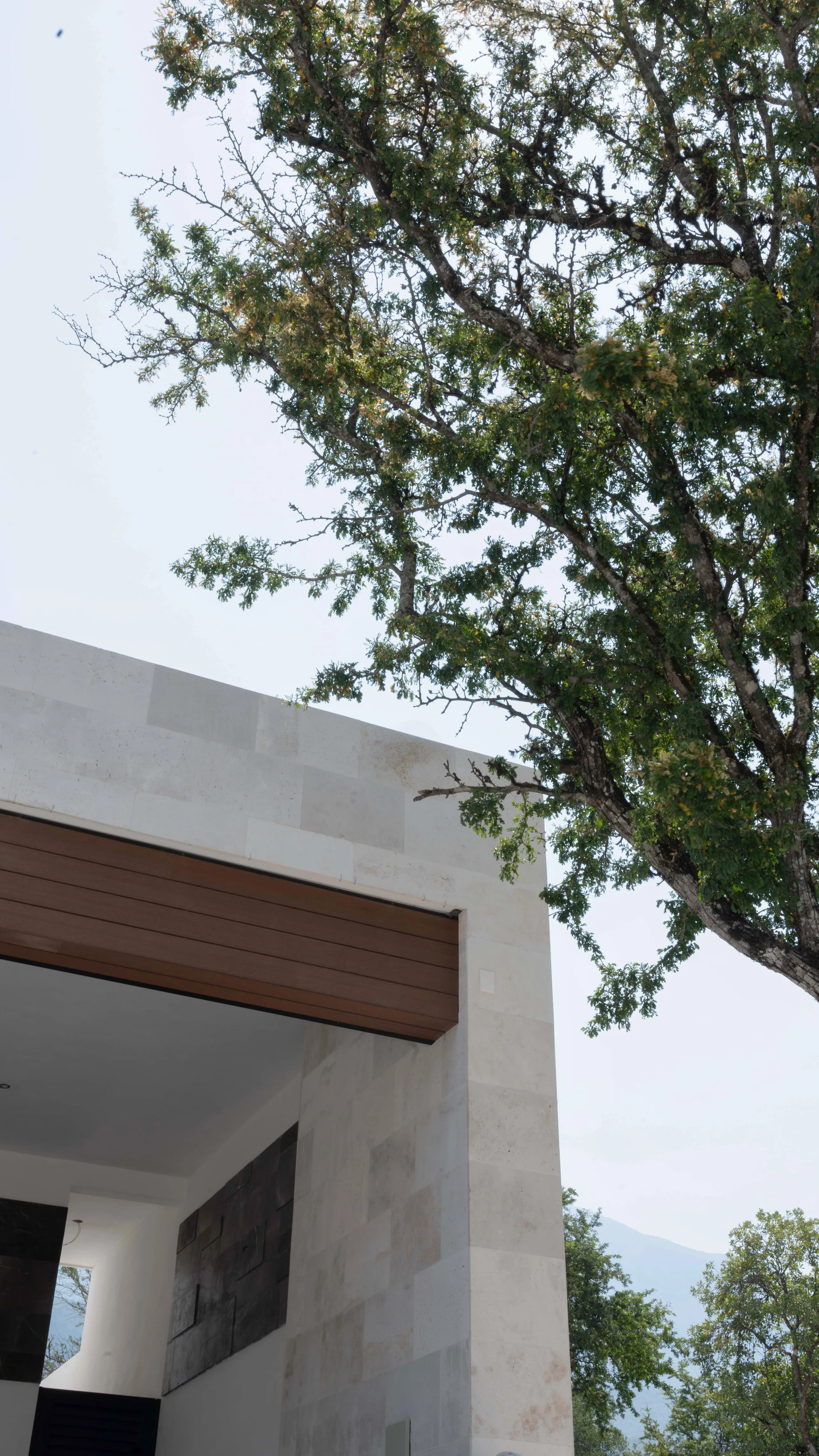 Sección Residencial 4