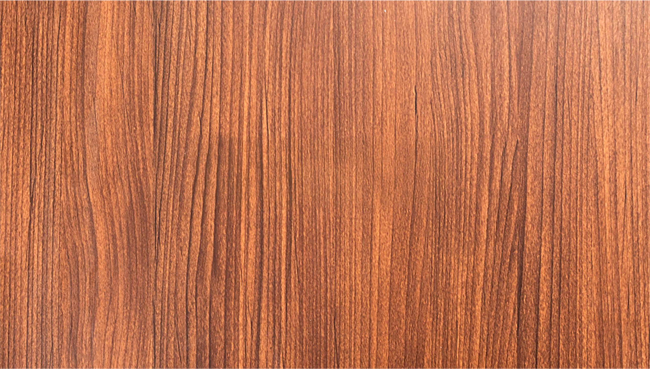 Panel SPC Muros