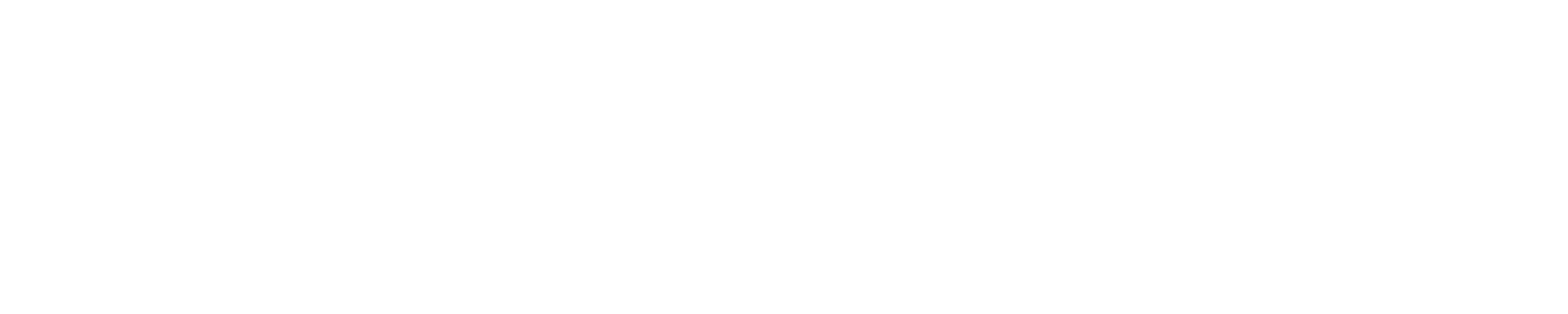 SaroTech